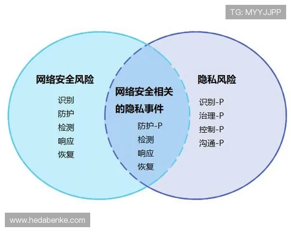 壹号信息官网：数据安全保障与隐私保护政策说明